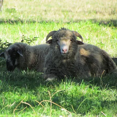 Gasthof V Sukromi Samuel