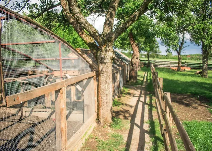 V Sukromi Samuel مييافا