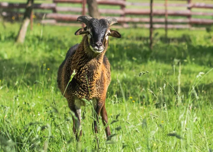 V Sukromi Samuel بيت ضيافة مييافا