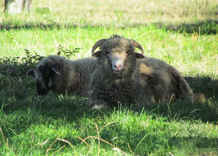 بيت ضيافة V Sukromi Samuel